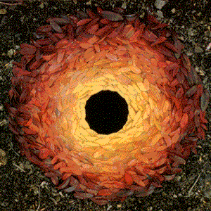 Nature Art